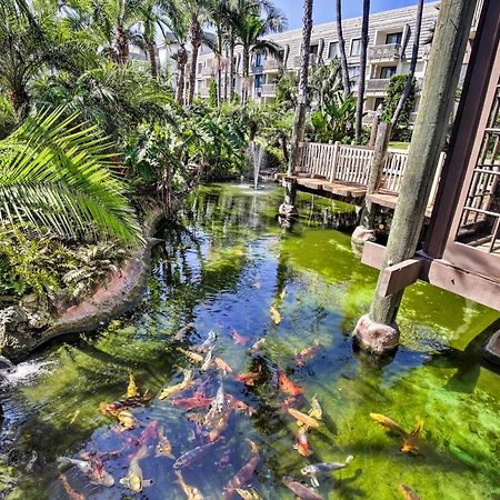 Charming Oceanside Condo With Beach And Pool Access! Exterior foto
