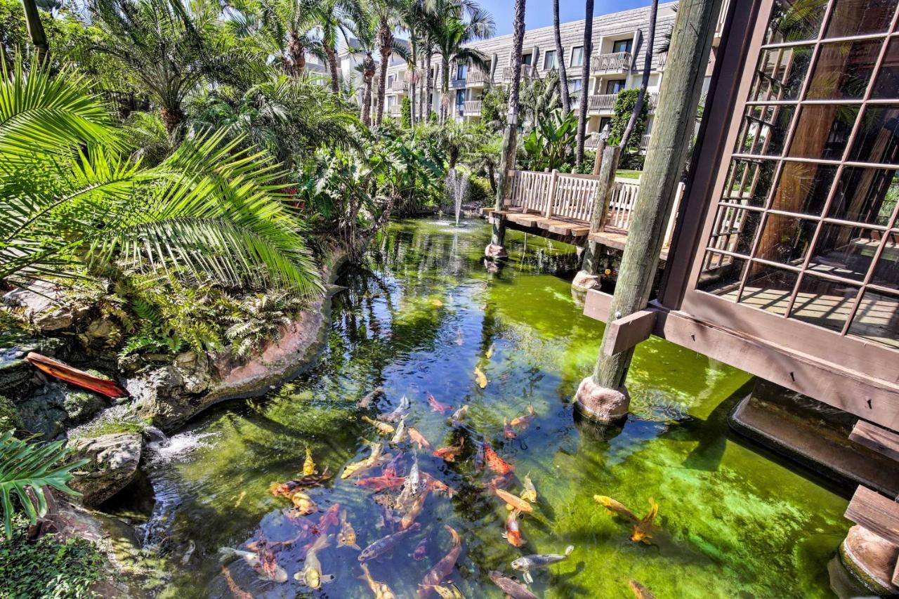 Charming Oceanside Condo With Beach And Pool Access! Exterior foto
